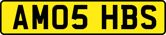 AM05HBS