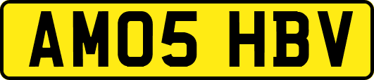 AM05HBV