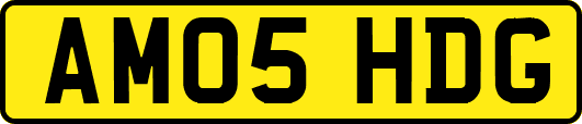 AM05HDG