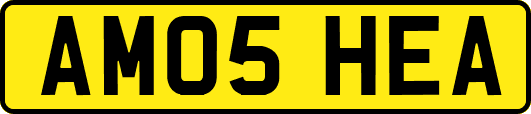 AM05HEA