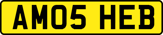 AM05HEB