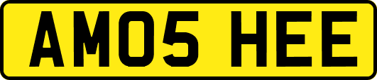 AM05HEE