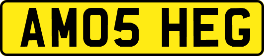 AM05HEG