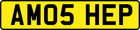 AM05HEP