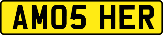 AM05HER
