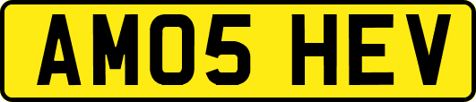 AM05HEV
