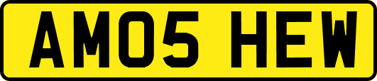 AM05HEW