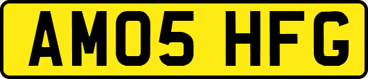 AM05HFG