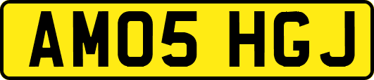 AM05HGJ
