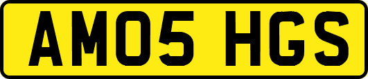AM05HGS