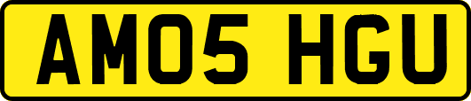 AM05HGU