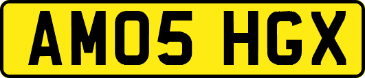 AM05HGX