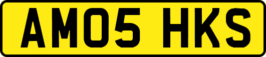 AM05HKS