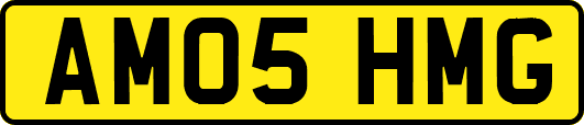 AM05HMG