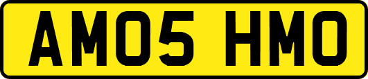 AM05HMO
