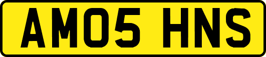 AM05HNS