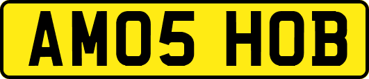 AM05HOB