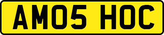 AM05HOC