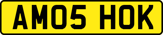 AM05HOK