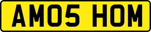AM05HOM
