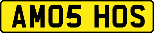 AM05HOS