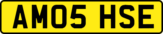 AM05HSE