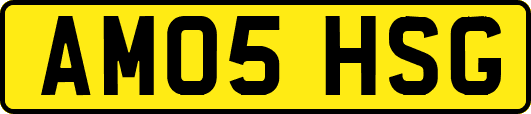 AM05HSG