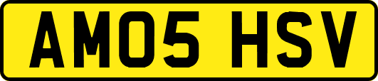 AM05HSV