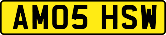 AM05HSW