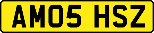 AM05HSZ
