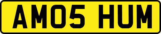 AM05HUM