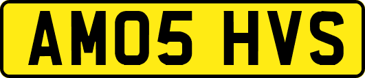 AM05HVS