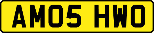 AM05HWO