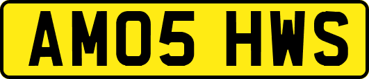 AM05HWS