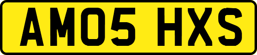 AM05HXS