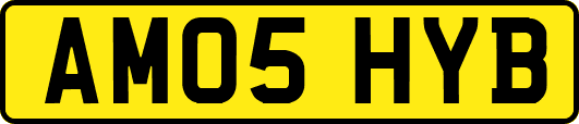 AM05HYB