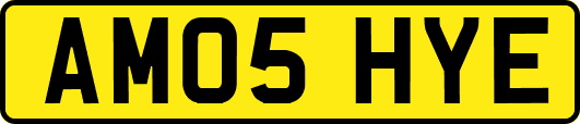 AM05HYE