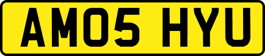AM05HYU