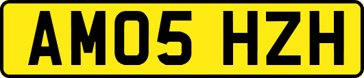 AM05HZH