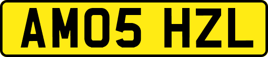 AM05HZL