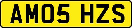 AM05HZS