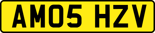 AM05HZV