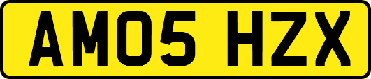 AM05HZX