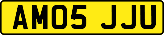 AM05JJU