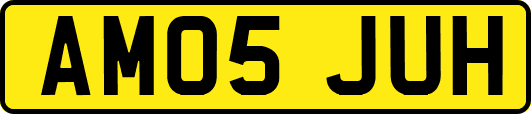 AM05JUH