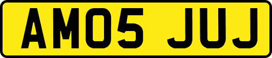 AM05JUJ