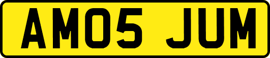 AM05JUM