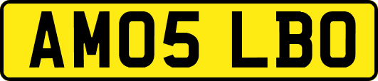 AM05LBO