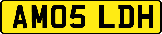 AM05LDH