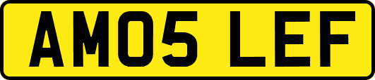 AM05LEF